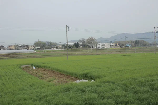 Vista del campo en tren —  Fotos de Stock