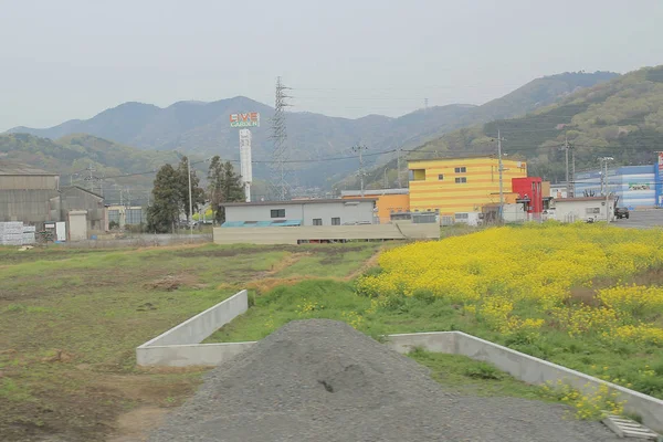 Modernas Cabañas Madera Noruegas Montaña Niebla Cerca Río — Foto de