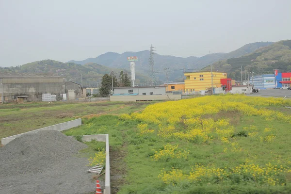 trenle kırsal bir görünümünü 