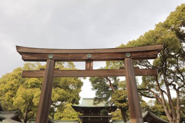 Torii Meiji jingu Tokyo, Japonya.