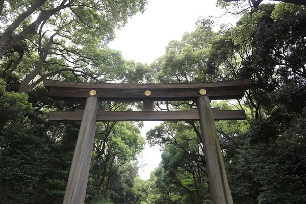 Torii di Meiji-jingu a Tokyo, Giappone . — Foto Stock