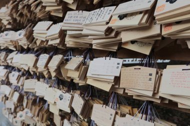 Meiji jingu Tokyo, Japonya.