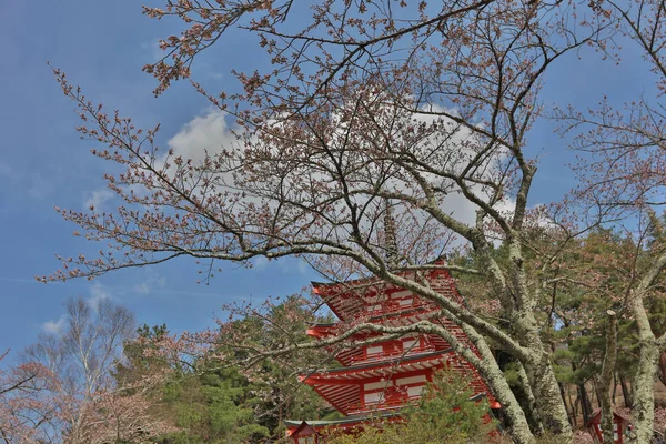 Santuário de Arakura Santuário de Chureito pagode — Fotografia de Stock
