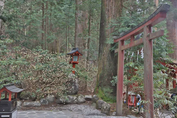 Torei è una struttura simbolica nel santuario e tempio giapponese — Foto Stock
