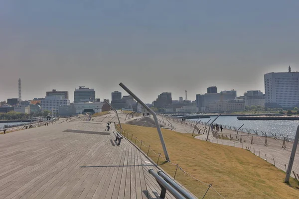 Japonya'da köprü manzara