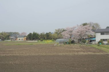 kırlarda trenle görünümünü 