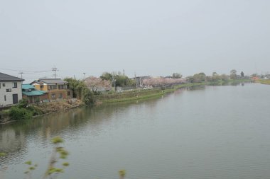 trenle alanının görünümü 