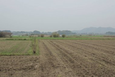 kırsal trenle görünümünü 