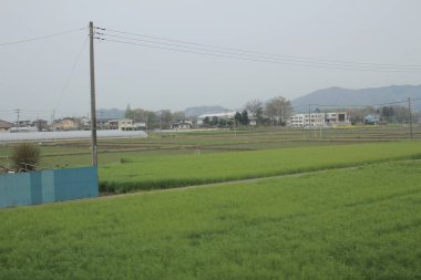 kırsal trenle görünümünü 