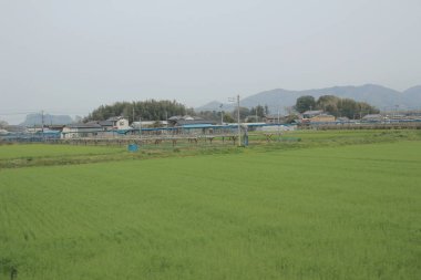 kırsal trenle görünümünü 