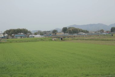 kırsal trenle görünümünü 