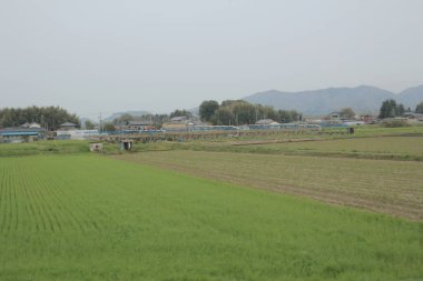 kırsal trenle görünümünü 