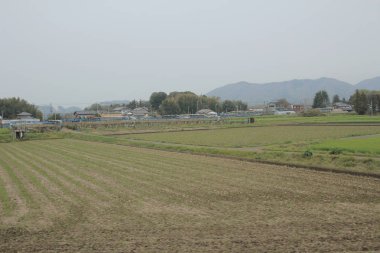 kırsal trenle görünümünü 