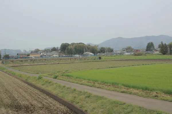 Вид на сільську місцевість поїздом — стокове фото