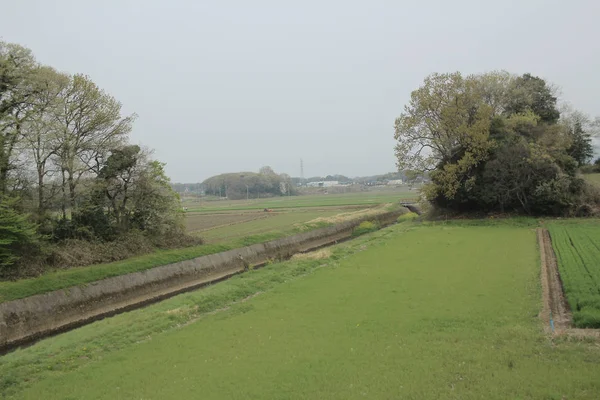 kırsal trenle görünümünü 