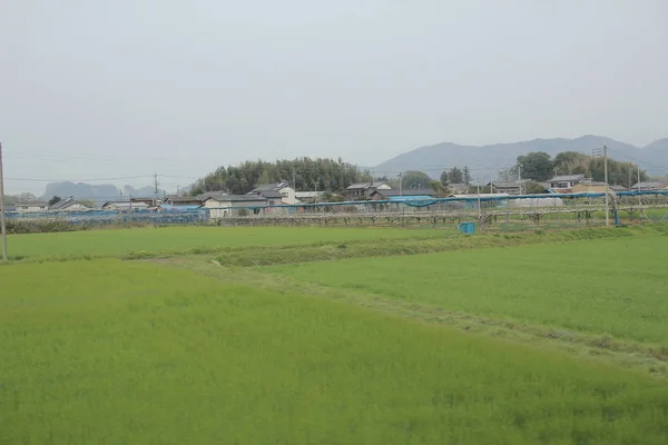 Vista del campo en tren —  Fotos de Stock