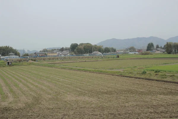 kırsal trenle görünümünü 