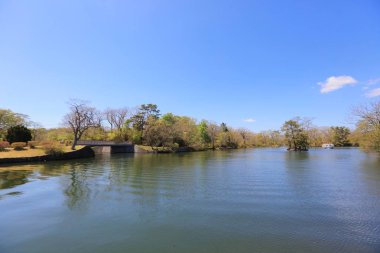Onuma natinal park Hokkaido göle.