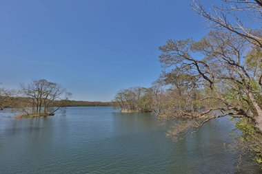 Japonya pastoral gölde. Lake Onuma, Hakodate, Hokkaido, Japonya
