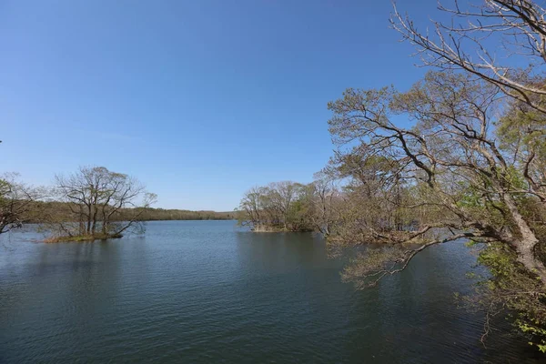 De japan Onuma Quasi Nationaal Park — Stockfoto