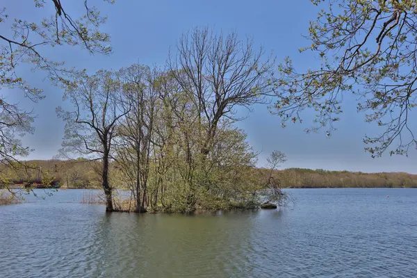 Japonya pastoral gölde. Lake Onuma, Hakodate, Hokkaido