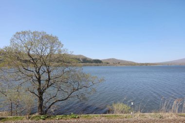 Göl Konuma, Hokkaido, Japonya