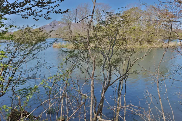 Lago idílico no Japão. Lago Onuma, Hakodate, Hokkaido — Fotografia de Stock