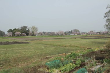 Nikko Kinugawa trenle manzara 