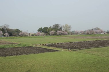 Nikko Kinugawa trenle manzara 