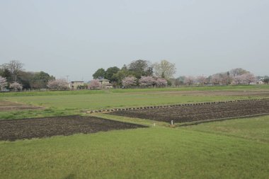 Nikko Kinugawa trenle manzara 