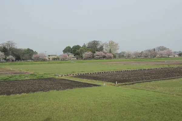 Nikko Kinugawa trenle manzara 