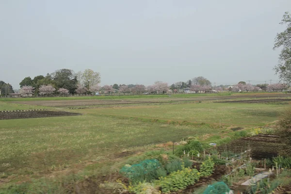 Nikko Kinugawa trenle manzara 