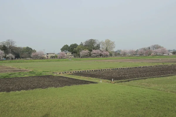 Nikko Kinugawa trenle manzara 