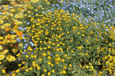 tarihsel tuğla warehous Bahçe