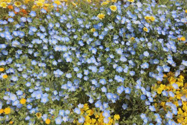 tarihsel tuğla warehous Bahçe