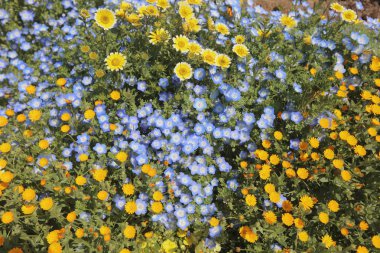 tarihsel tuğla warehous Bahçe