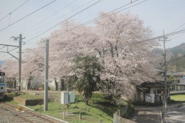 Yamanashi City scape
