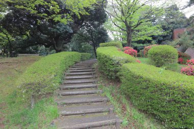 Renkli çiçek alanı