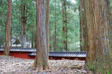 Çatıya Nikko Toshogu Tapınak