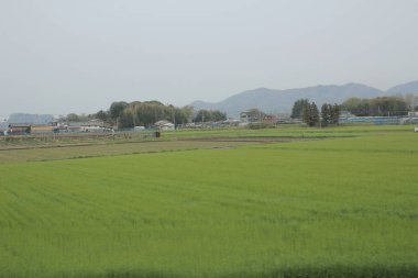 kırsal trenle görünümünü 