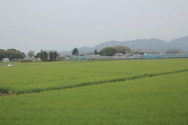 kırsal trenle görünümünü 