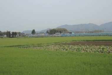 kırsal trenle görünümünü 