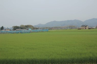 kırsal trenle görünümünü 