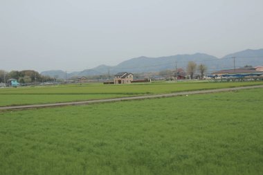 kırsal trenle görünümünü 