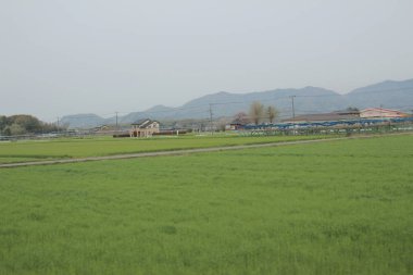 kırsal trenle görünümünü 