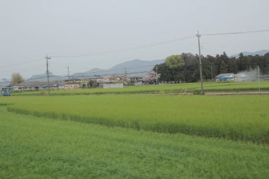 kırsal trenle görünümünü 