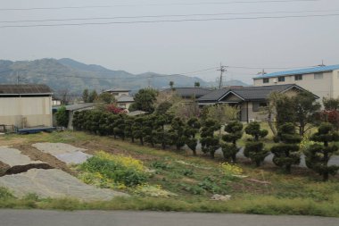 trenle kırsal bir görünümünü 