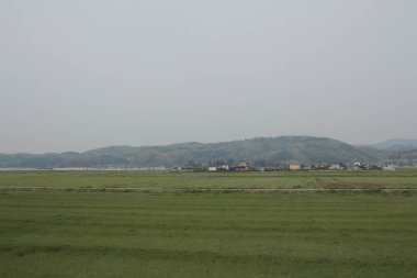 kırsal trenle görünümünü 