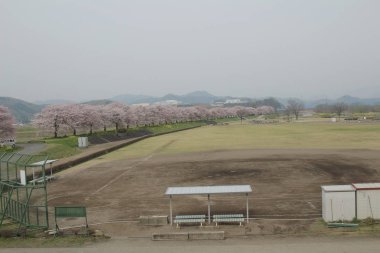 kırsal trenle görünümünü 