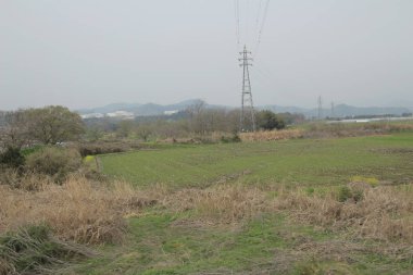 trenle kırsal bir görünümünü 